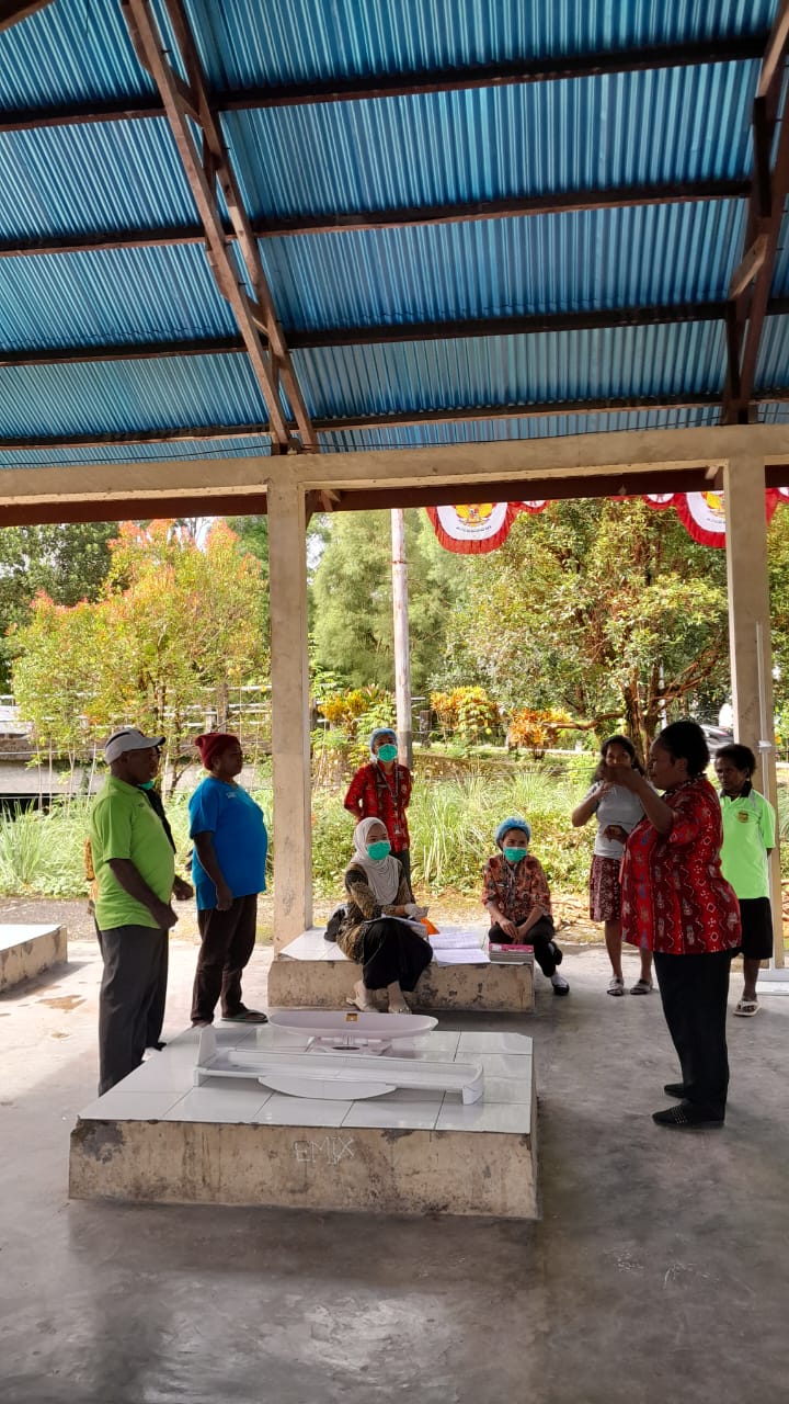 Cegah Stunting, Belasan Balita, Ibu Hamil dan Lansia Ikut Posyandu di Kampung Bintang Lima