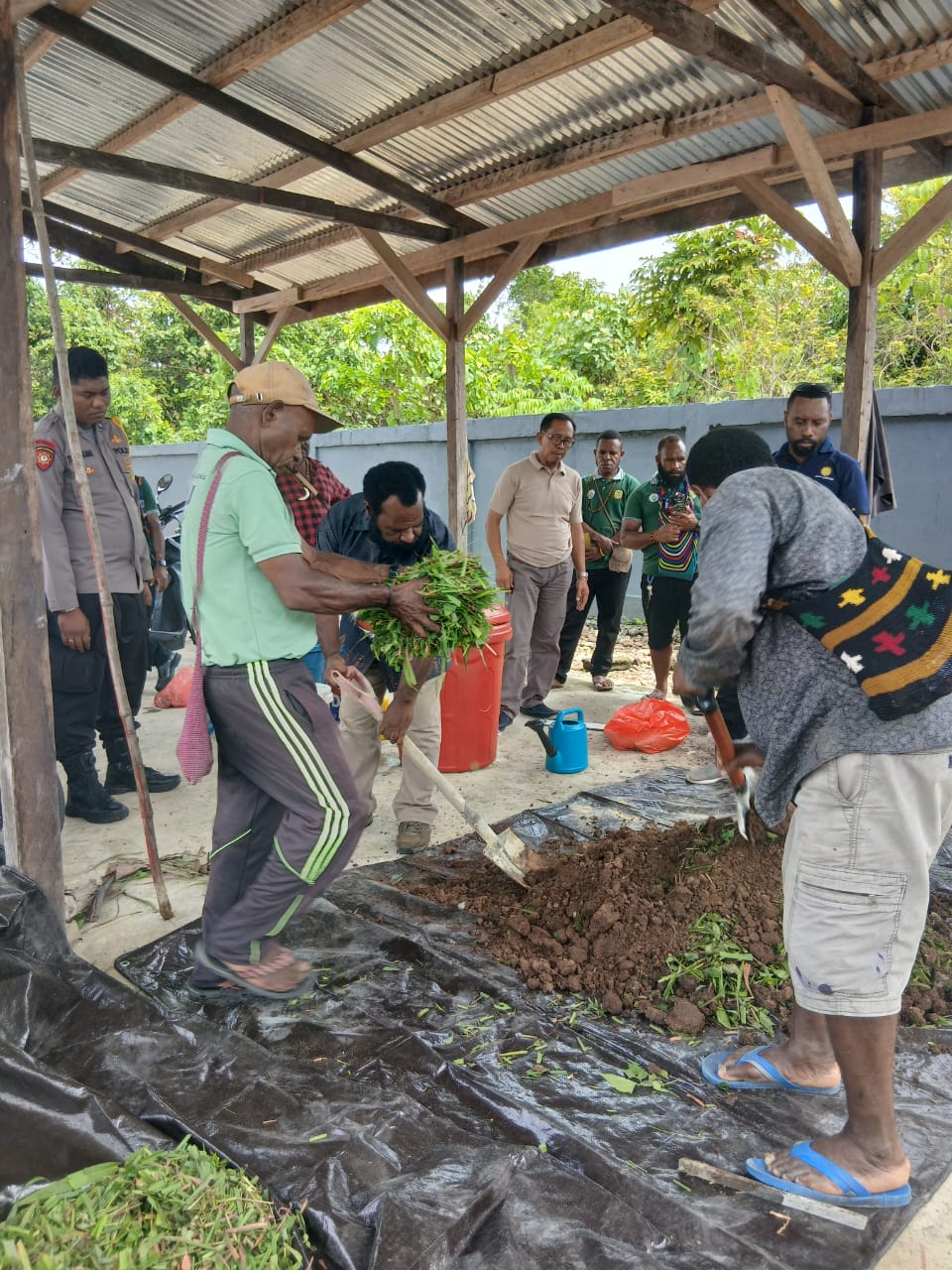 Memasukkan tumbuhan kedalam kotoran ternak kemudian dicampur