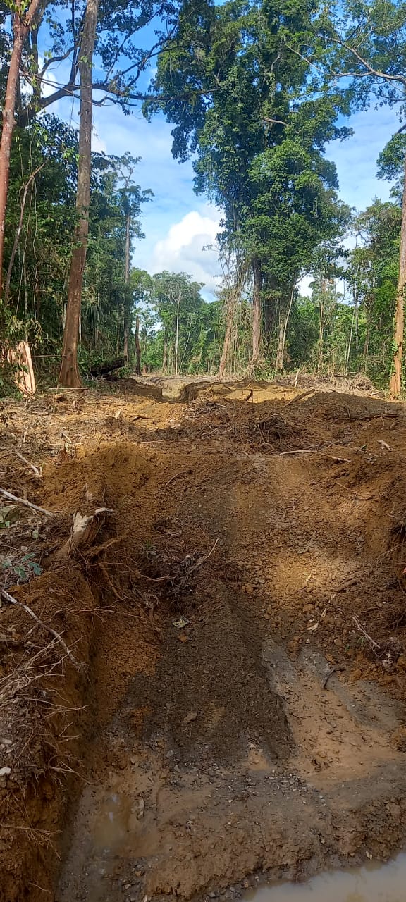 Kondisi sungai setelah dinormalisasi