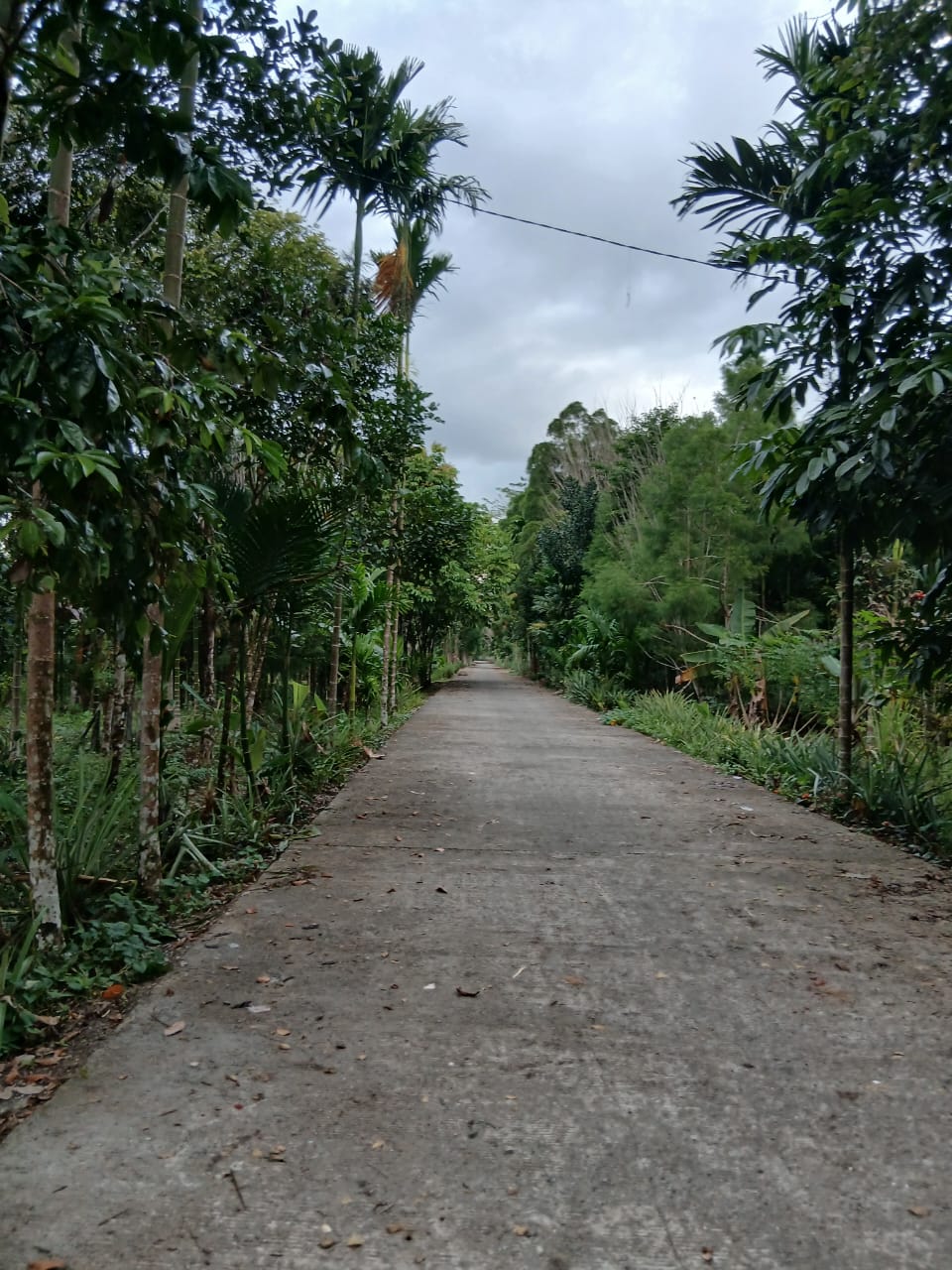 Jalan yang sudah bersih