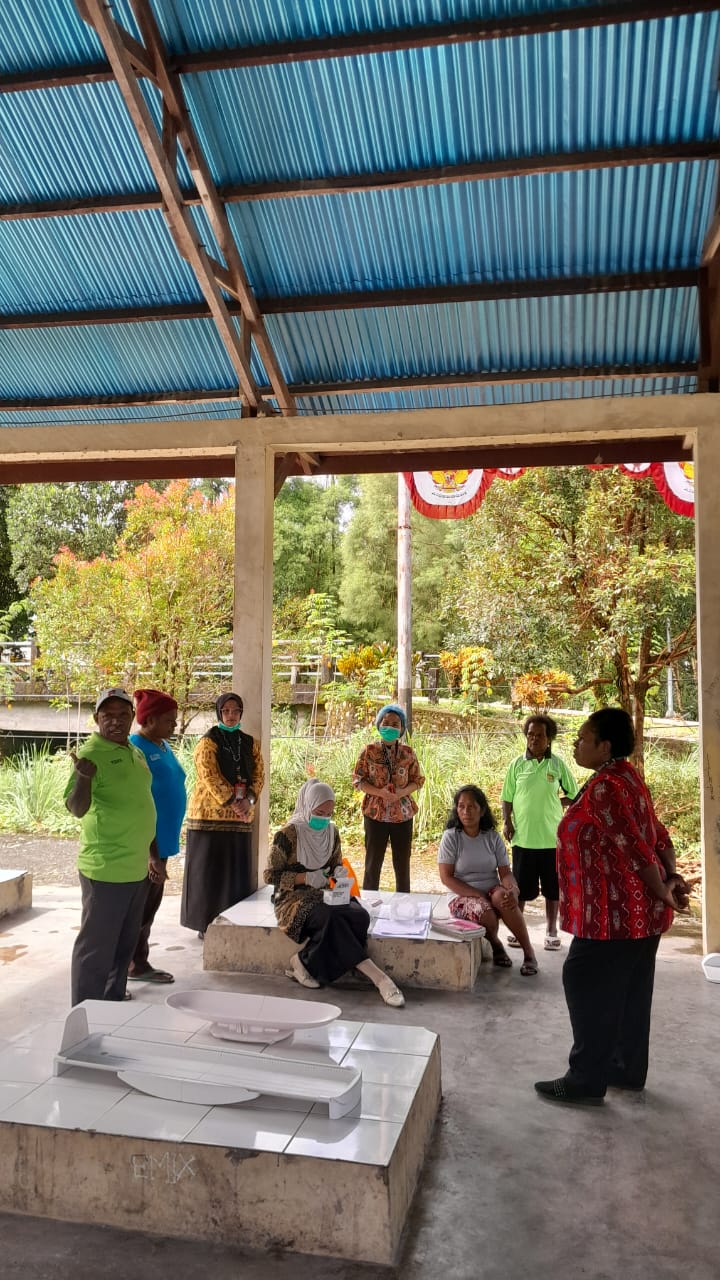 Suasana pelayanan Posyandu di Kampung Bintang Lima