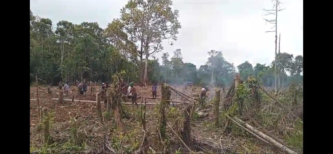 Aktifitas warga yang masuk dalam kelompok tani saat membersihkan lahan pertanian 