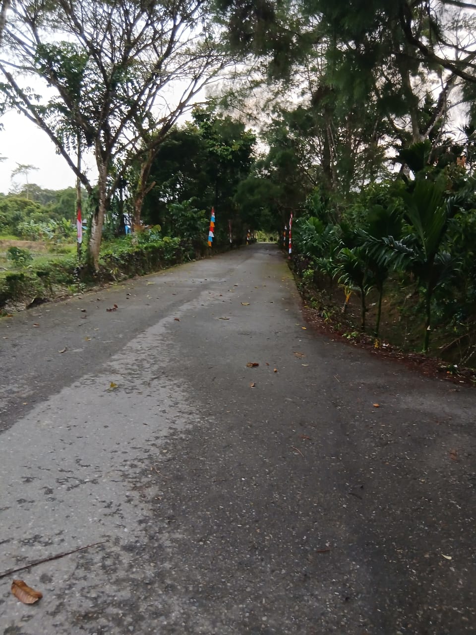 Suasana dijalan menuju Kampung Utikini I