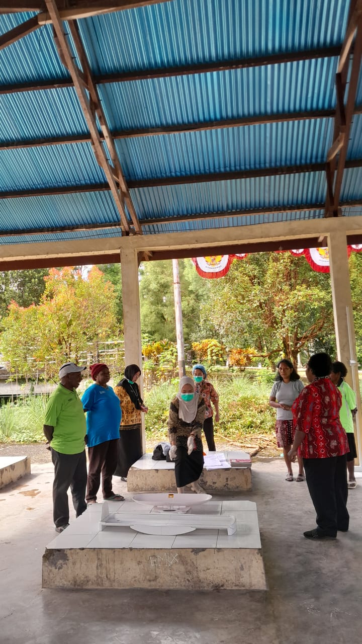 Suasana pelayanan Posyandu di Kampung Bintang Lima