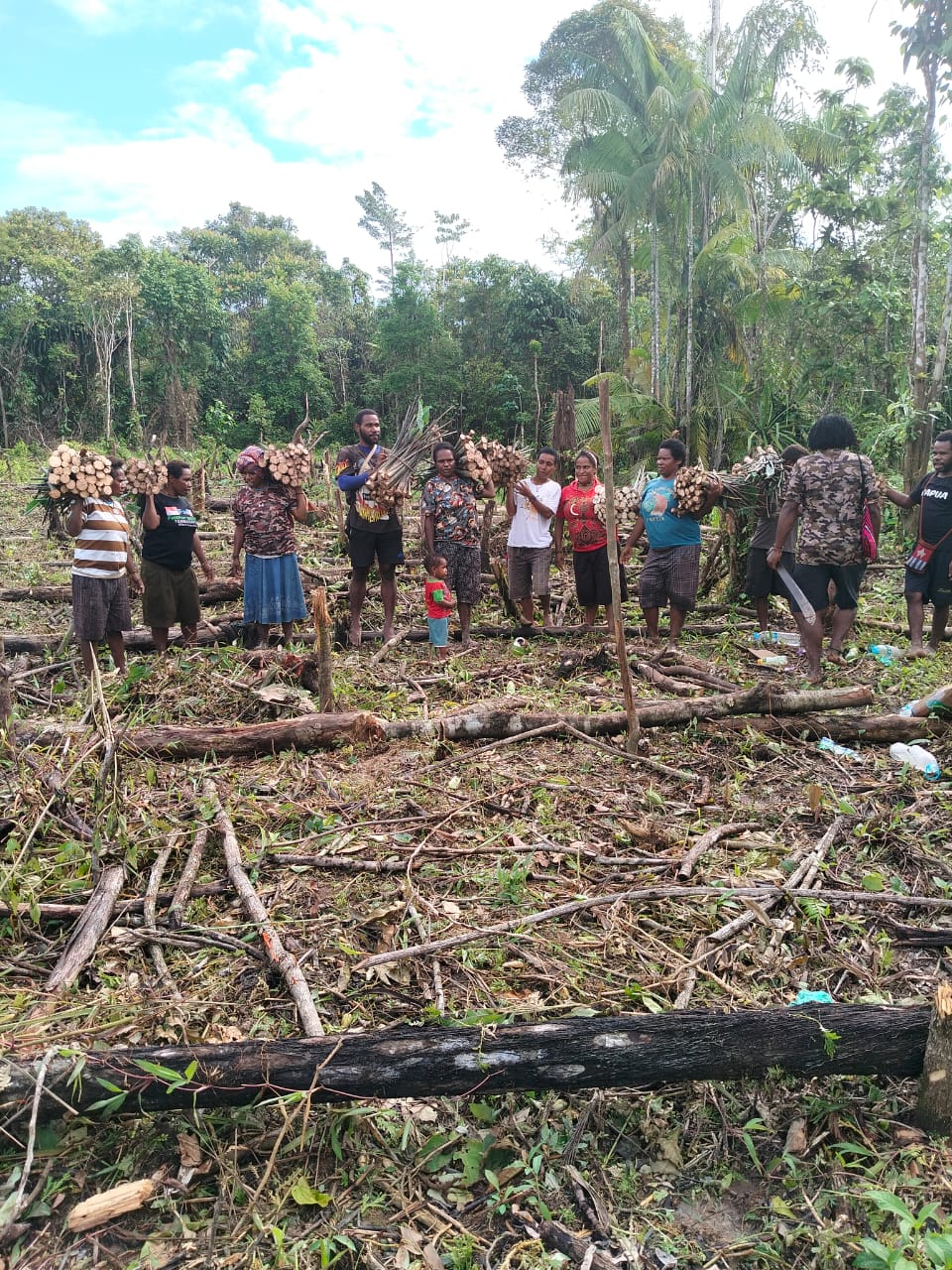 Warga saat membawa bibit keladi bantuan dari Pemkam Bhintuka untuk ditanam 