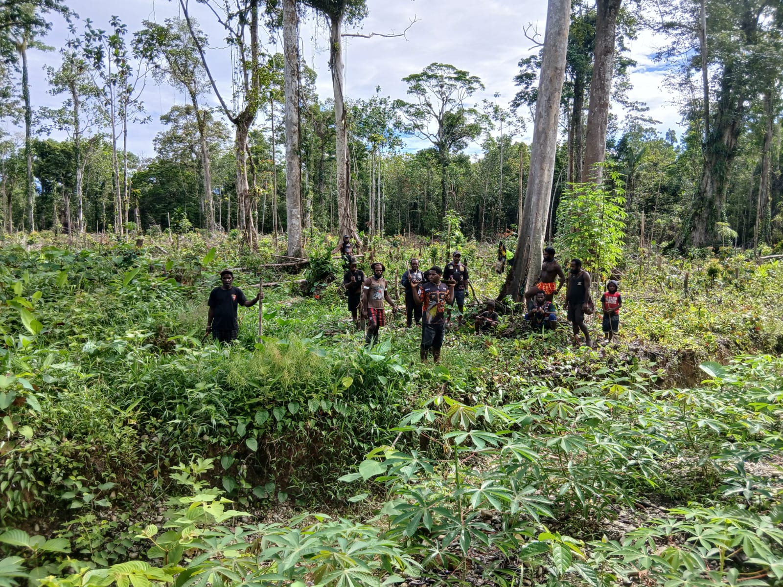 Warga Kampung Utikini Satu saat menanam bibit nenas 