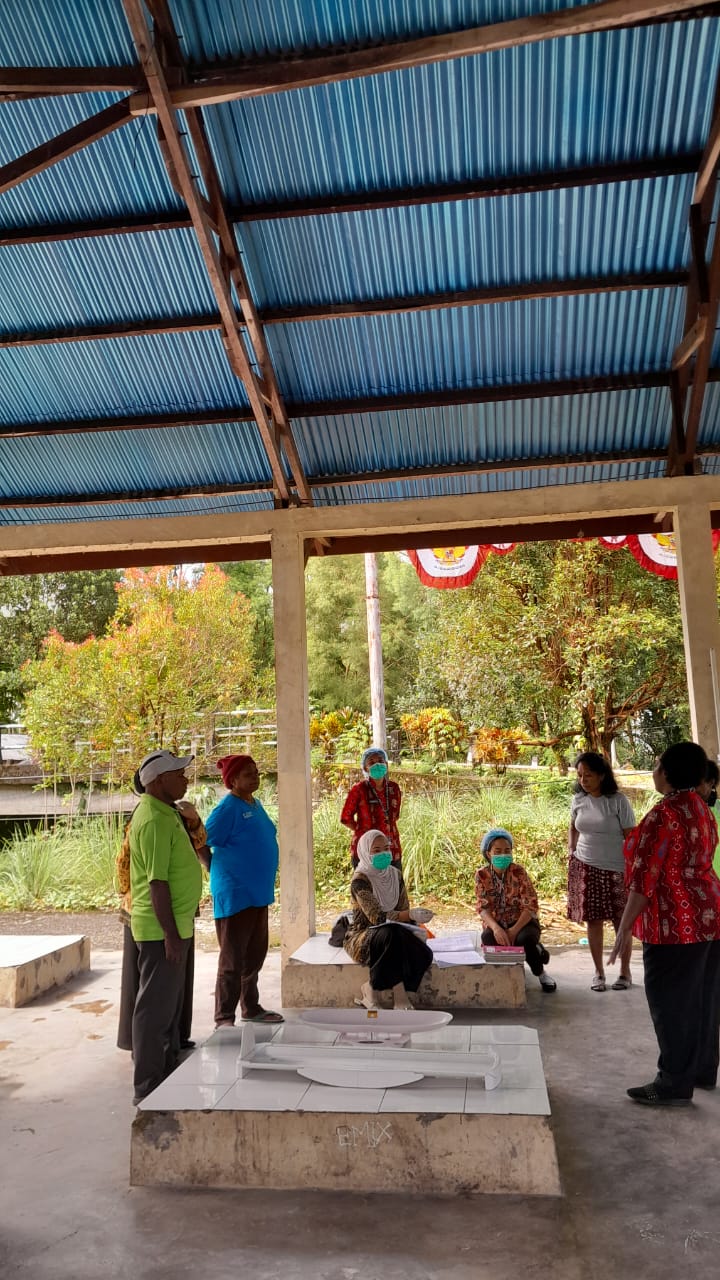 Suasana pelayanan Posyandu di Kampung Bintang Lima