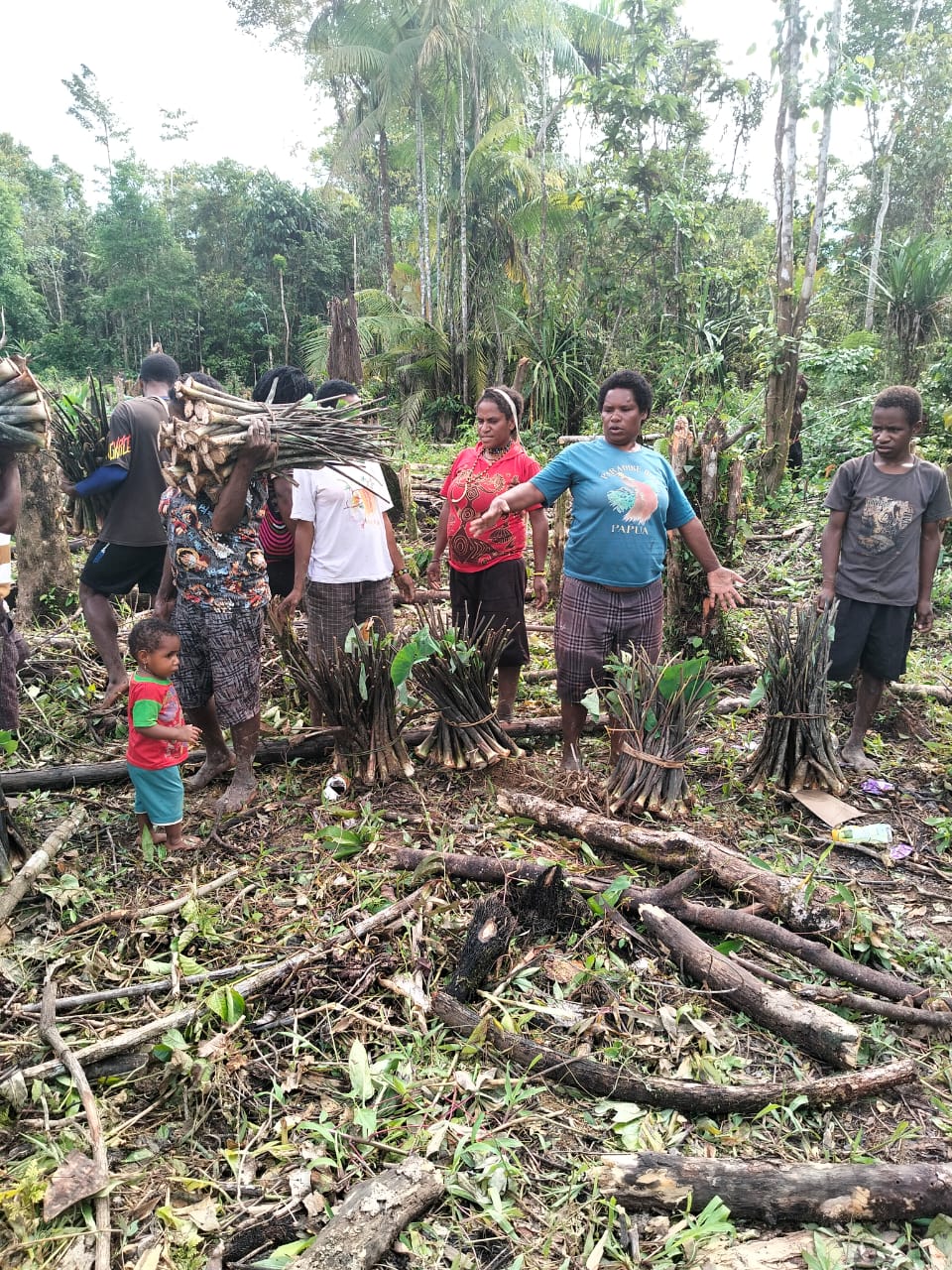 Warga saat menerima bibit keladi dari Pemkam Bhintuka untuk ditanam