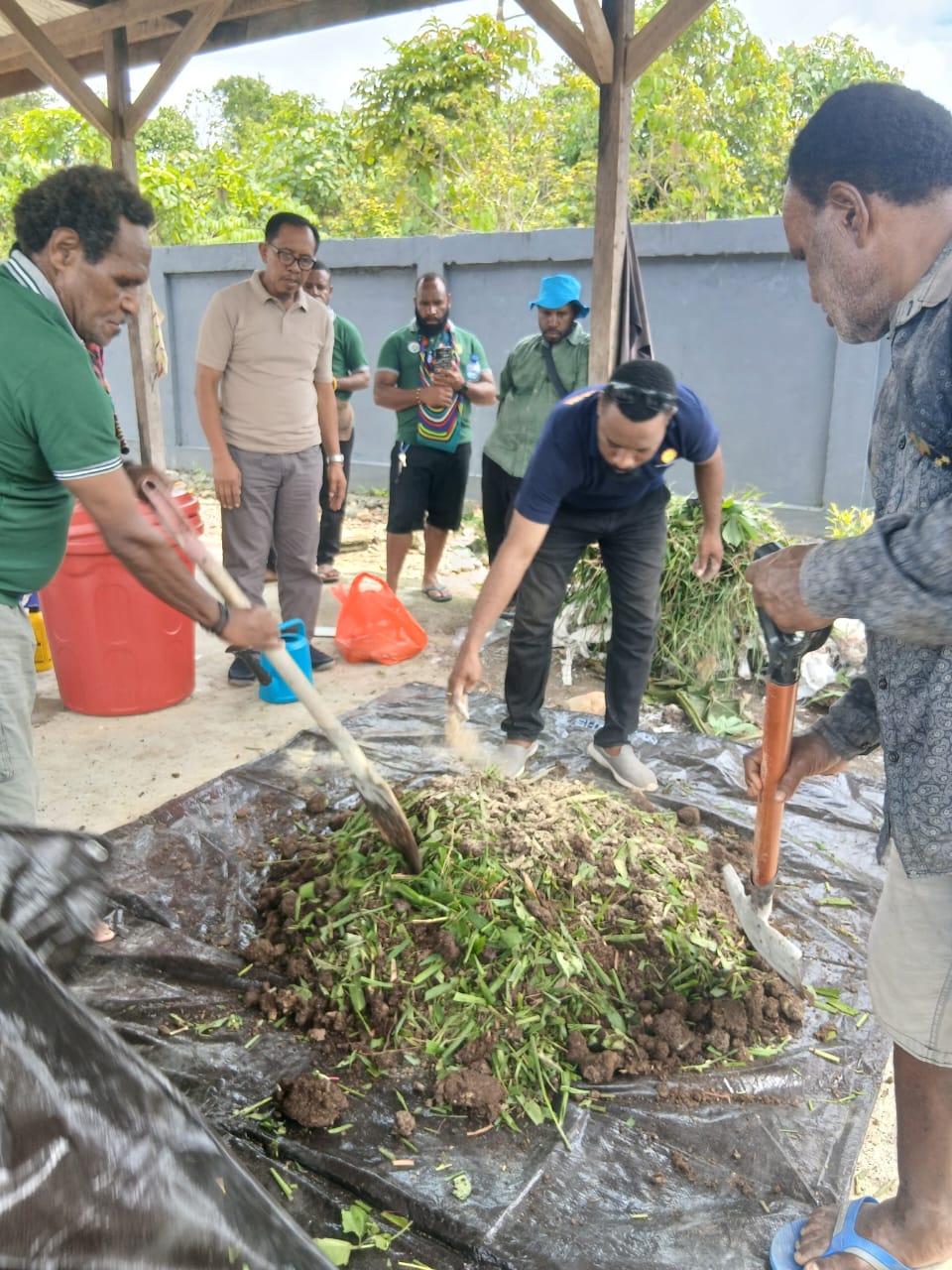 Proses pencampuran tumbuhan dan kotoran ternak