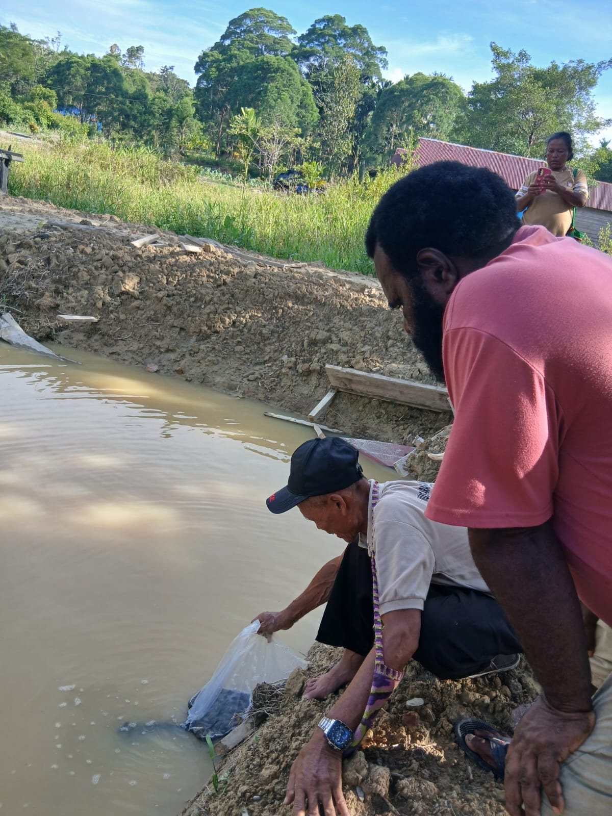 Sekertaris Kampung Utikini Satu Arif Karsito saat melepaskan bibit ikan nila kedalam kolam disaksikan oleh Kepala Kampung Utikini Satu Luther Karagainal bersama warga 