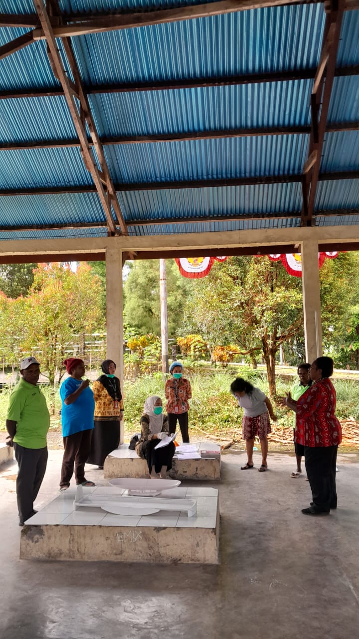 Suasana pelayanan Posyandu di Kampung Bintang Lima