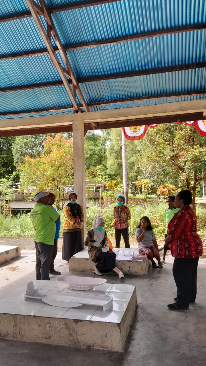 Suasana pelayanan Posyandu di Kampung Bintang Lima