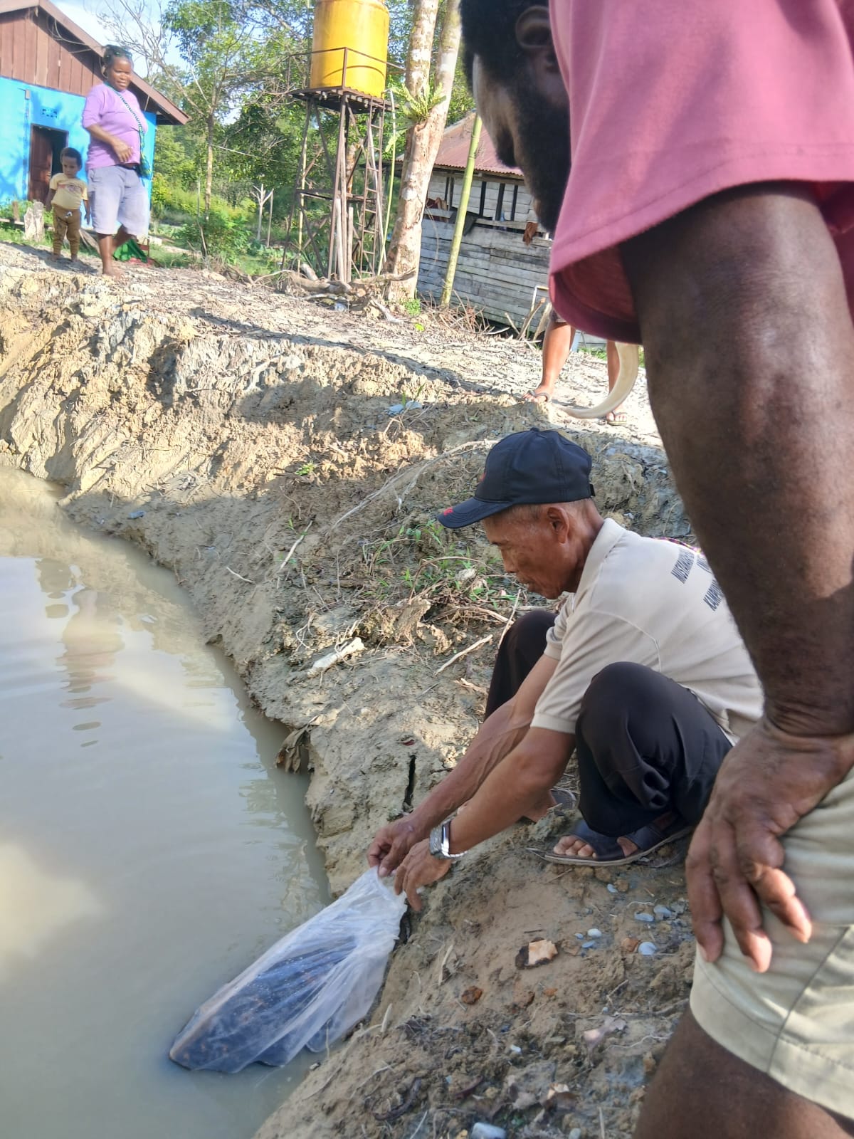 Sekertaris Kampung Utikini Satu Arif Karsito saat melepaskan bibit ikan nila kedalam kolam disaksikan oleh Kepala Kampung Utikini Satu Luther Karagainal dan warga