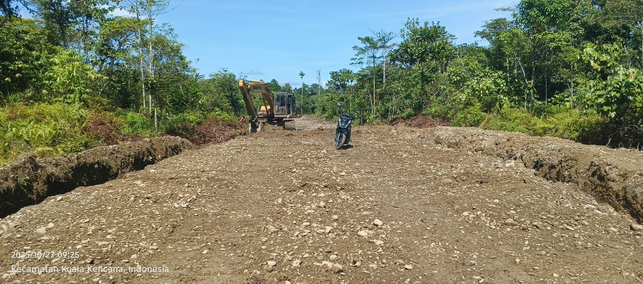 Kepala Kampung Jimbi Litenus Kogoya saat melihat secara langsungPembangunan jalan dalam kampung di Kampung Jimbi 