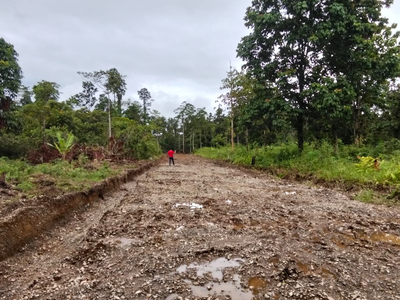 Plt Kepala Kampung Karya Kencana saat meninjau langsung pembuatan jalan