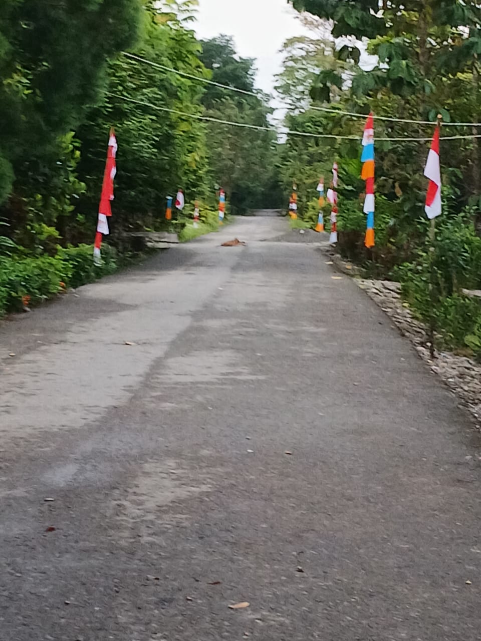 Jalan yang telah dibersihkan dan dipasangin umbul-umbul