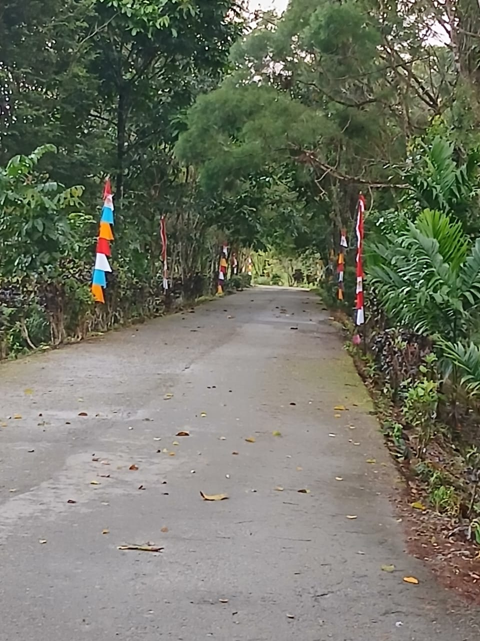 Pemasangan umbul-umbul dan jalan yang bersih