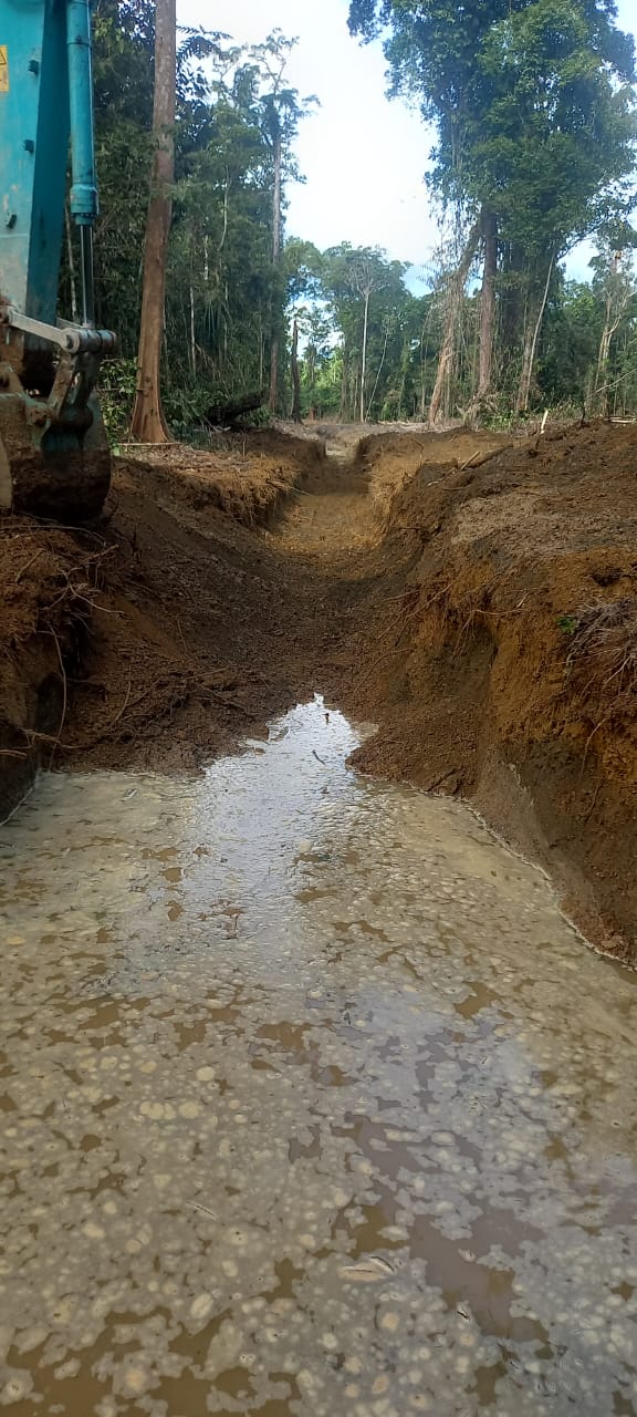 Kondisi sungai setelah dinormalisasi