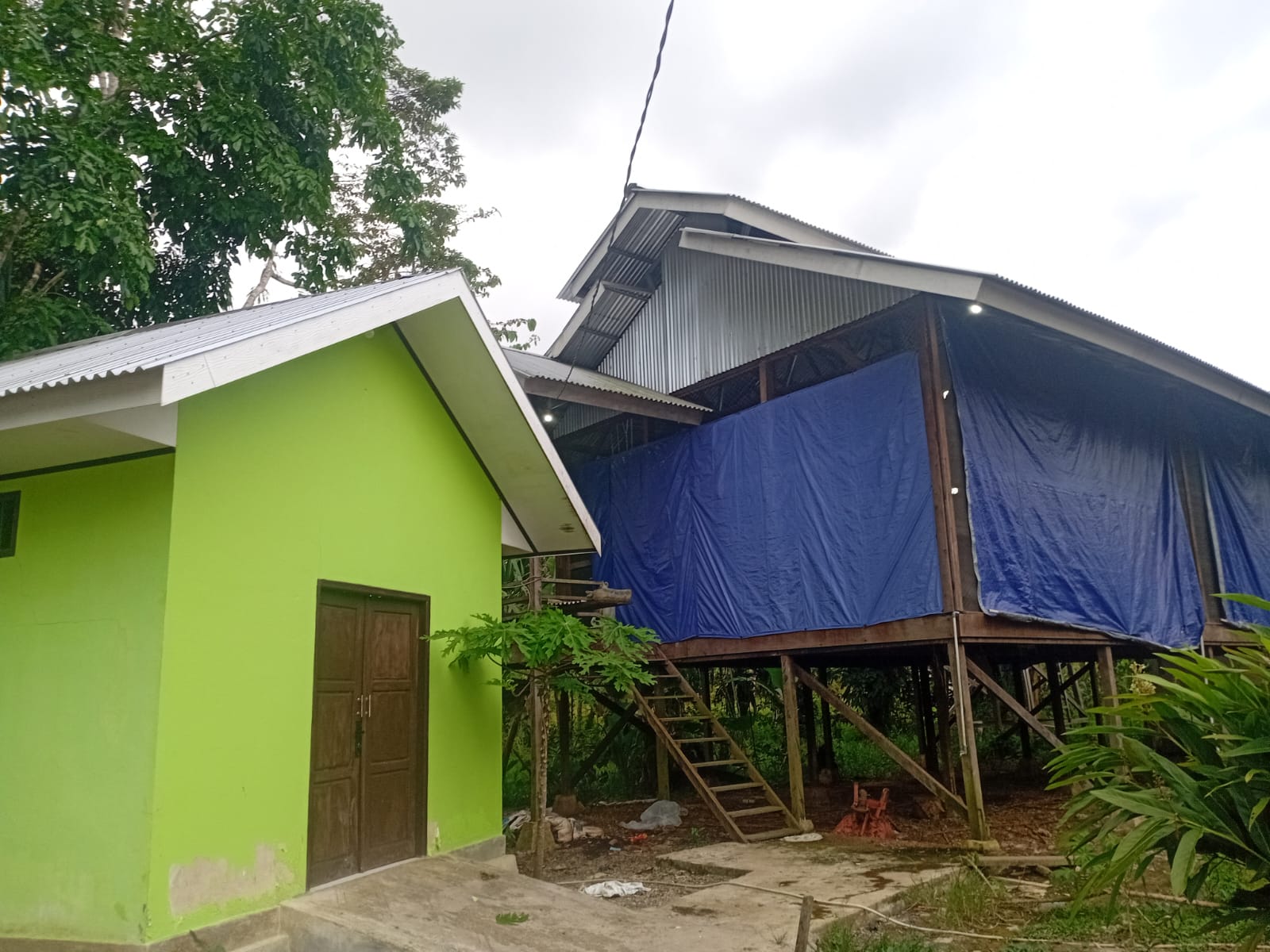Tampak dari luar kandang tempat ratusan ayam pedaging dipelihara